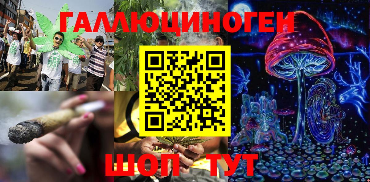 Псилоцибиновые грибы MAGIC MUSHROOMS  Вход с VPN  Кострома  Псилоцибиновые грибы прущие грибы 